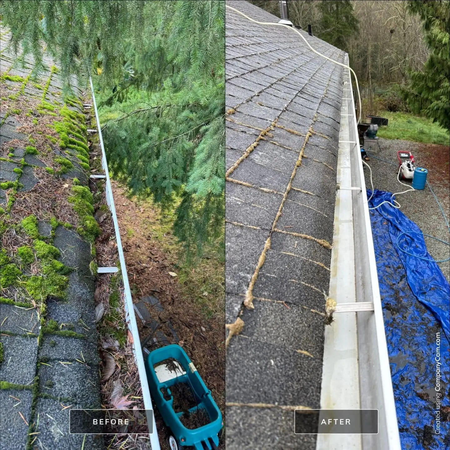 Gutter Cleaning service