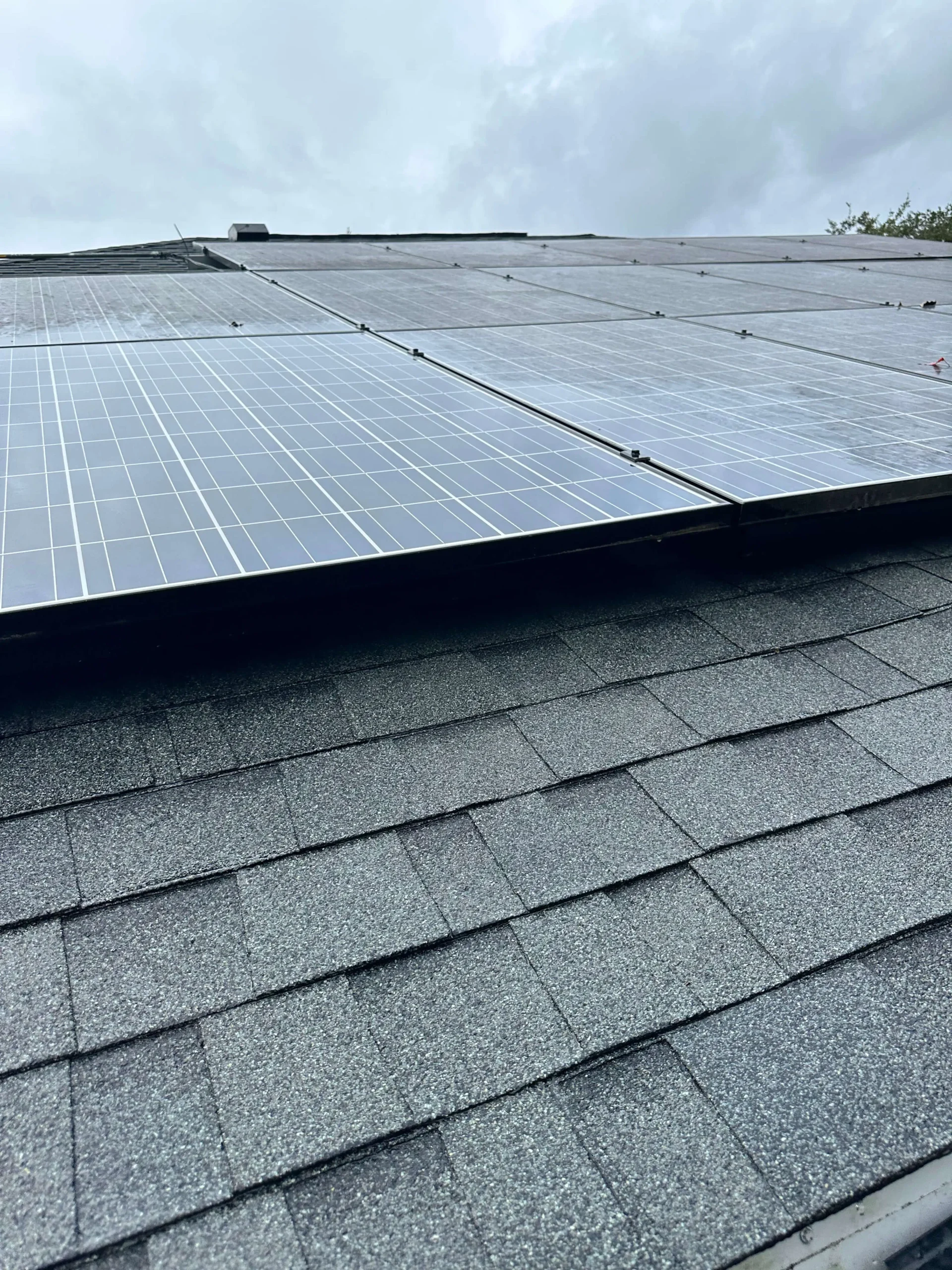 Solar Panel Cleaning