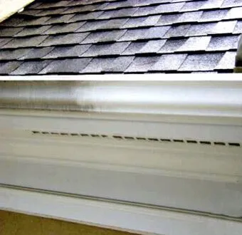 Gutter Polishing