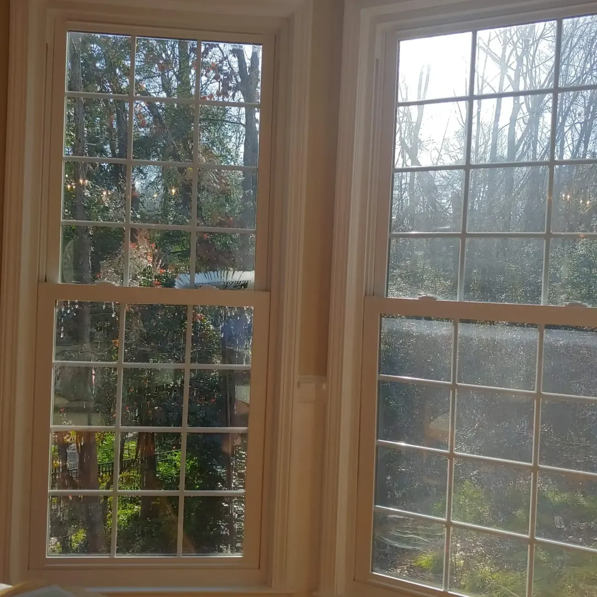 Window-cleaning-service